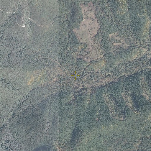Aerial/Satellite Image of Big Bear Hollow, VA