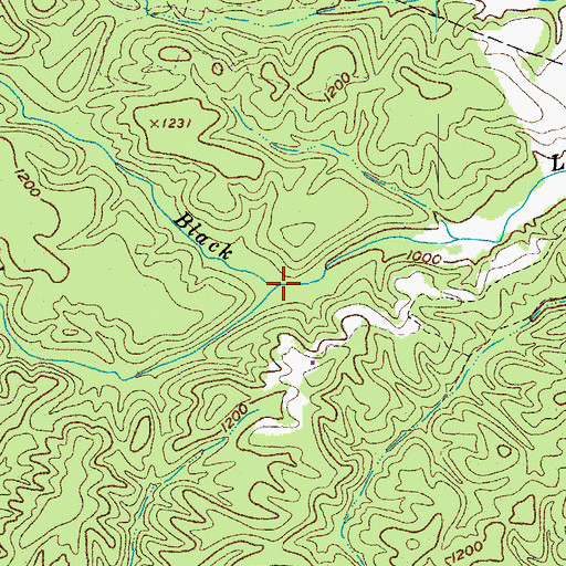 Topographic Map of Big Branch, VA