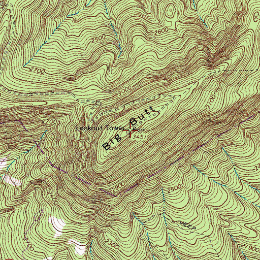 Topographic Map of Big Butt, VA