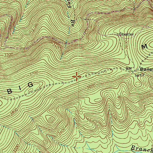 Topographic Map of Big Mountain, VA