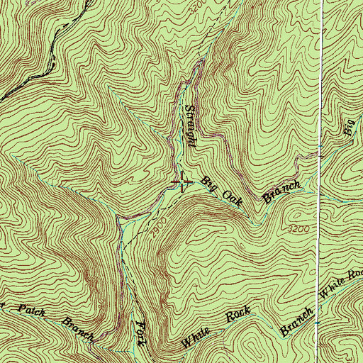 Topographic Map of Big Oak Branch, VA