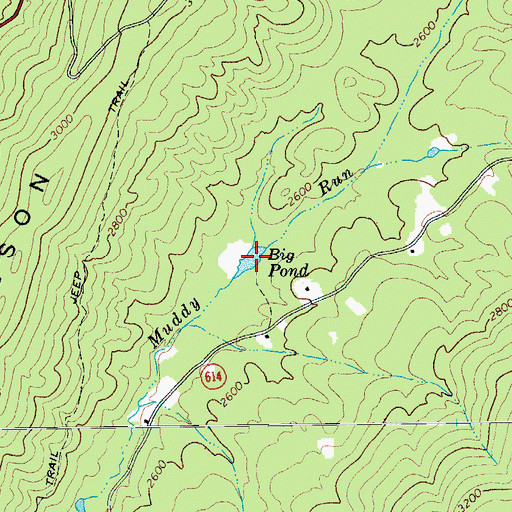 Topographic Map of Big Pond, VA