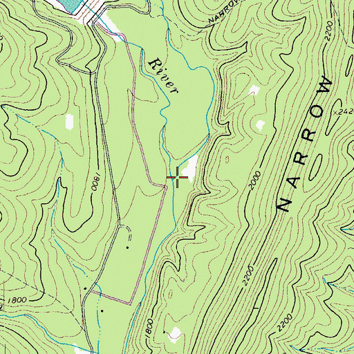 Topographic Map of Big Run, VA