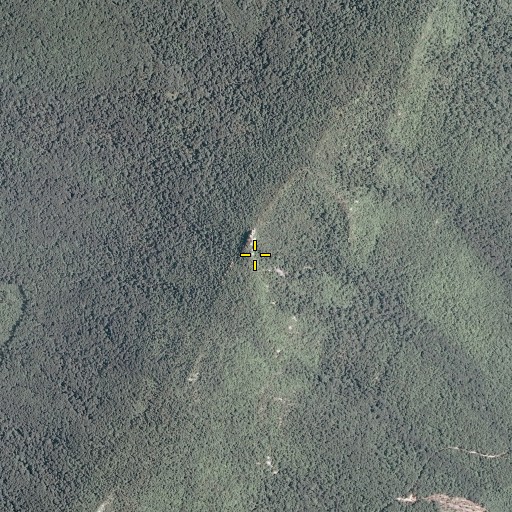 Aerial/Satellite Image of Big Schloss, VA