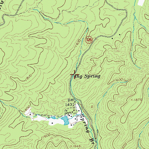 Topographic Map of Big Spring, VA