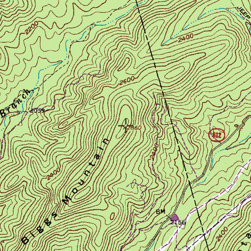 Topographic Map of Biggs Mountain, VA