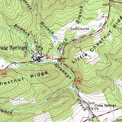 Topographic Map of Black Branch, VA