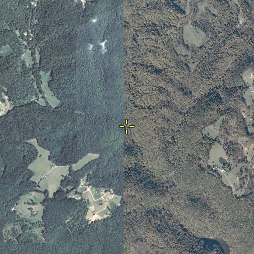 Aerial/Satellite Image of Blowing Fork, VA