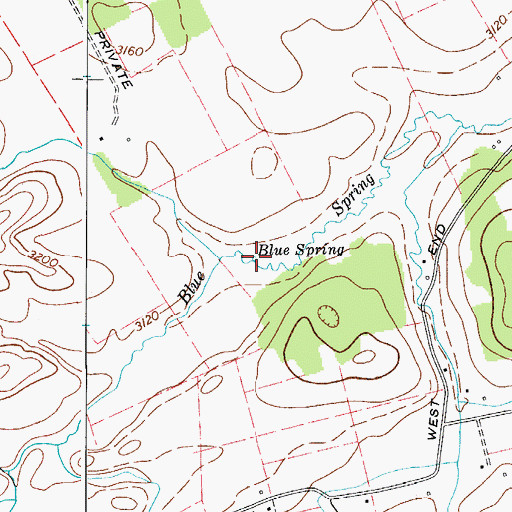 Topographic Map of Blue Spring, VA