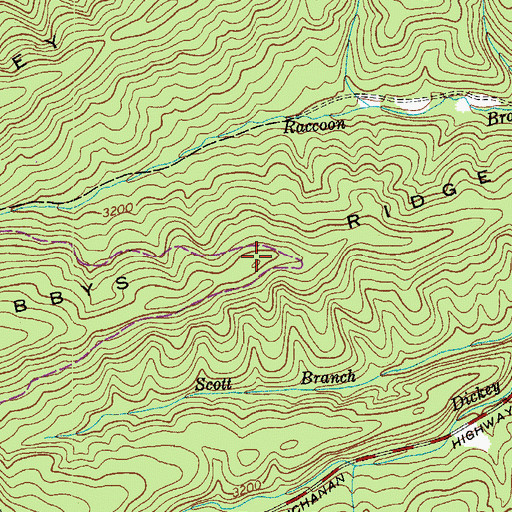 Topographic Map of Bobbys Ridge, VA