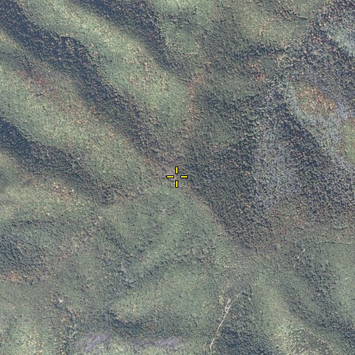 Aerial/Satellite Image of Bother Knob, VA