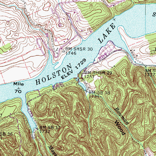 Topographic Map of Bowman Branch, VA