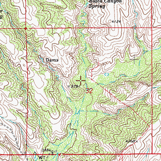 Topographic Map of Black Canyon, AZ
