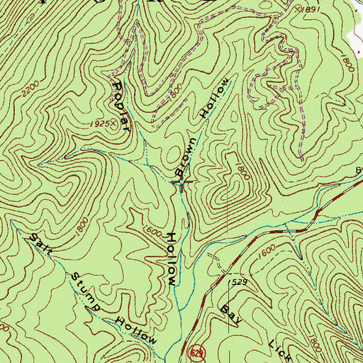Topographic Map of Brown Hollow, VA