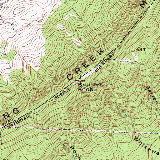 Topographic Map of Bruisers Knob, VA