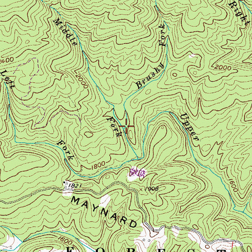 Topographic Map of Brushy Fork, VA