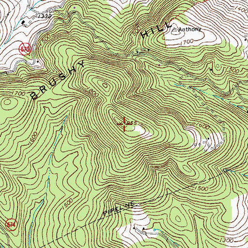 Topographic Map of Brushy Hill, VA