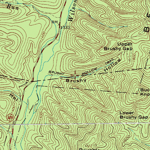 Topographic Map of Brushy Hollow Trail, VA