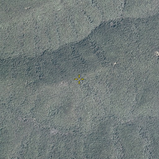 Aerial/Satellite Image of Brushy Mountain, VA