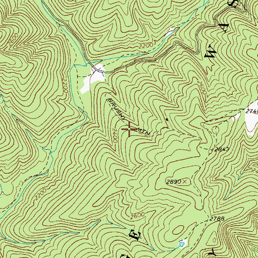 Topographic Map of Brushy Mountain Trail, VA