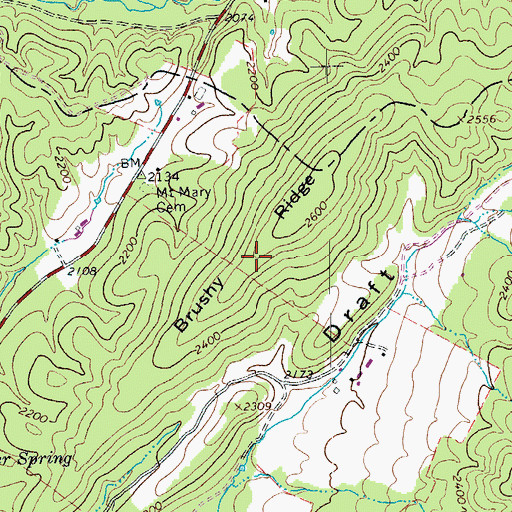 Topographic Map of Brushy Ridge, VA
