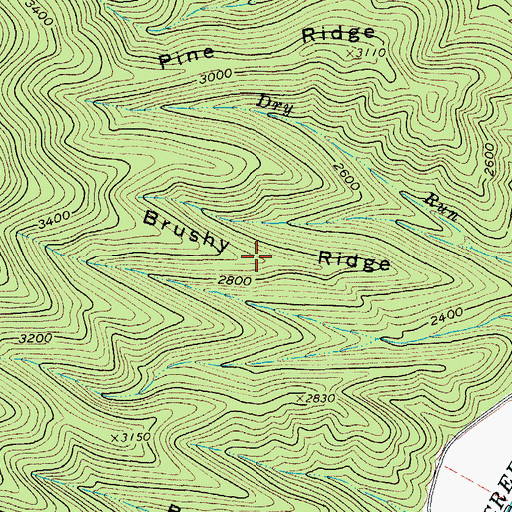 Topographic Map of Brushy Ridge, VA