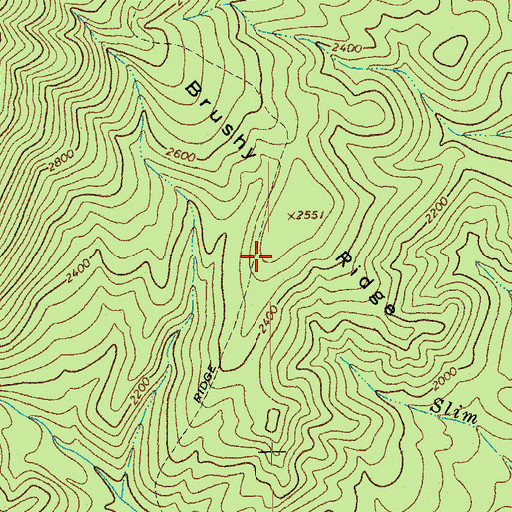 Topographic Map of Brushy Ridge Trail, VA