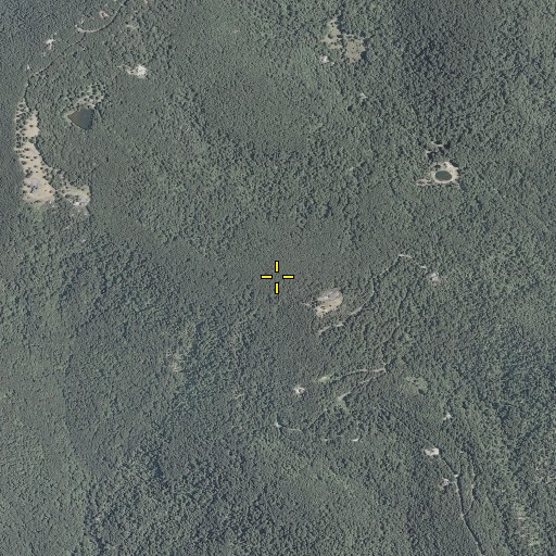 Aerial/Satellite Image of Bryant Mountain, VA