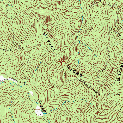 Topographic Map of Bryant Ridge, VA