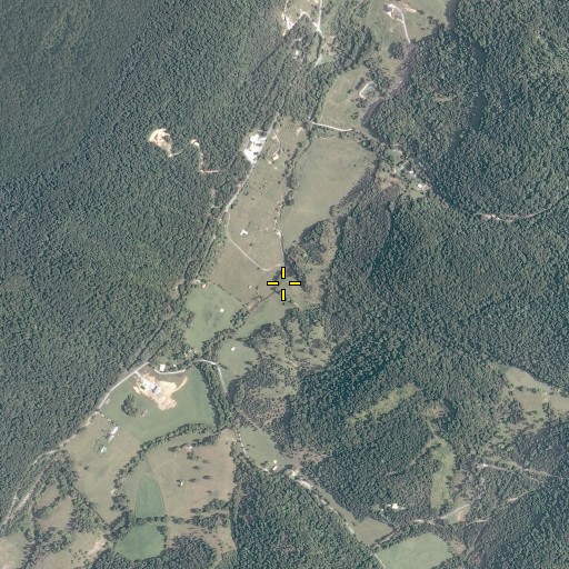 Aerial/Satellite Image of Buchanan Branch, VA
