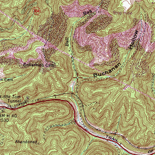 Topographic Map of Buchanan Hollow, VA