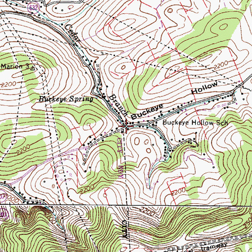 Topographic Map of Buckeye Hollow, VA
