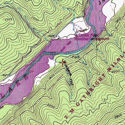 Topographic Map of Buckeye Hollow, VA