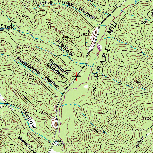 Topographic Map of Buckhorn Quarters, VA