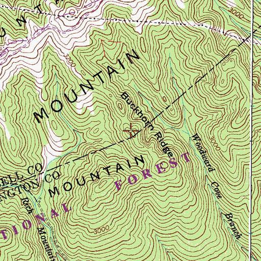 Topographic Map of Buckhorn Ridge, VA