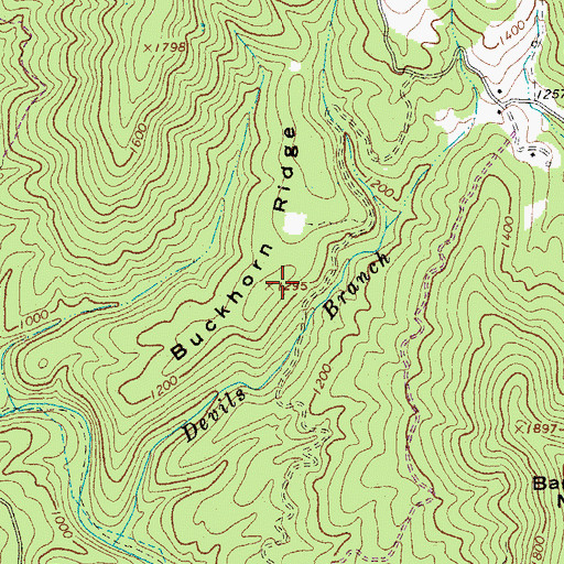 Topographic Map of Buckhorn Ridge, VA