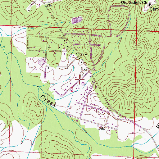 Topographic Map of Hazelhurst, AL