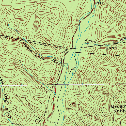 Topographic Map of Cabin Lick Hollow, VA