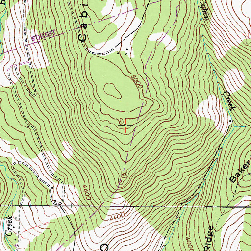 Topographic Map of Cabin Ridge, VA