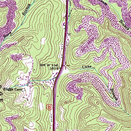 Topographic Map of Cane Branch, VA