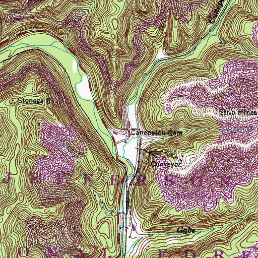 Topographic Map of Canepatch Cemetery, VA