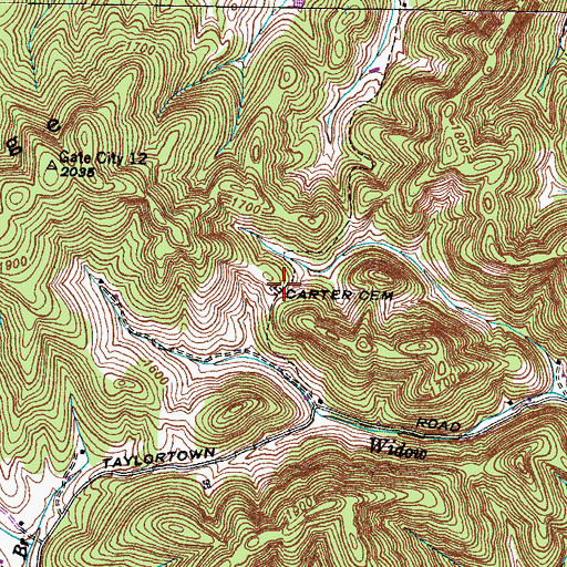 Topographic Map of Carter Cemetery, VA