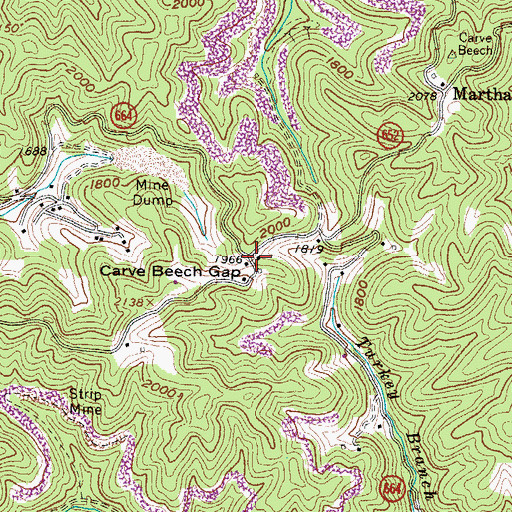 Topographic Map of Carve Beech Gap, VA