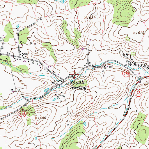 Topographic Map of Castle Spring, VA
