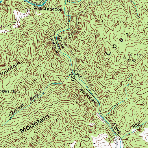 Topographic Map of Chestnut Branch, VA