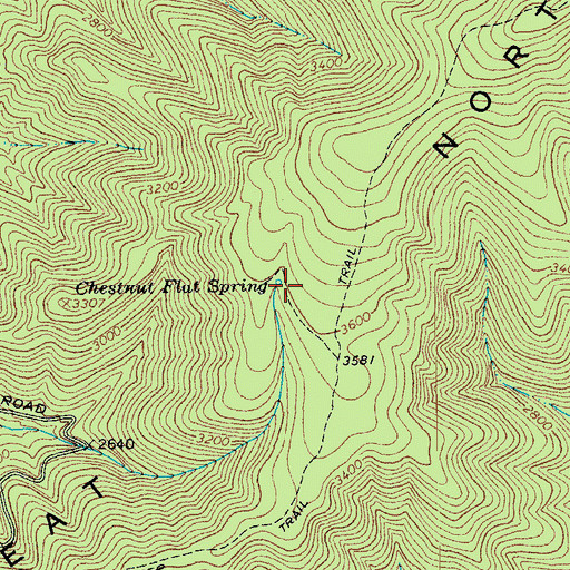 Topographic Map of Chestnut Flat Spring, VA