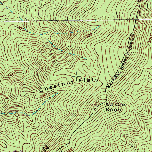 Topographic Map of Chestnut Flats, VA
