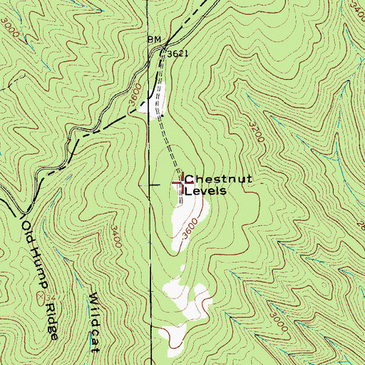 Topographic Map of Chestnut Levels, VA