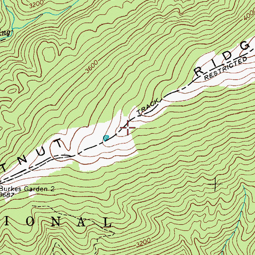 Topographic Map of Chestnut Ridge, VA