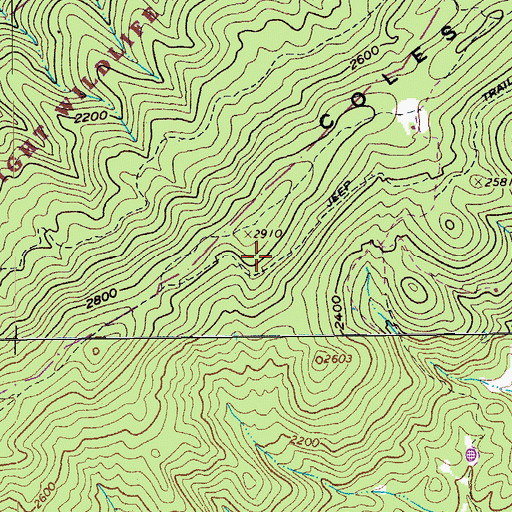 Topographic Map of Coles Mountain, VA